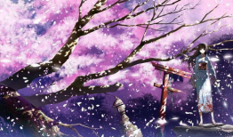 樱花动漫网站官网,探索日本动漫文化的魅力之门